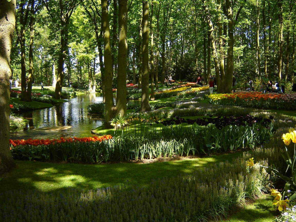 Keukenhof Tulip Gardens - Private tour in the Netherlands